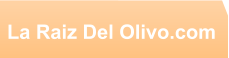 La Raiz Del Olivo.com